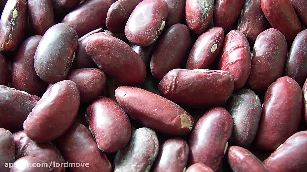 مواد غذایی که هیچگاه خراب نمیش...