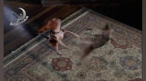 تریلر انیمیشن Cats and Dogs
