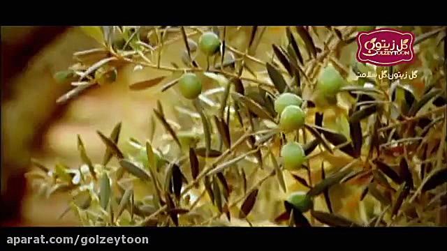 روغن زیتون گل زیتون