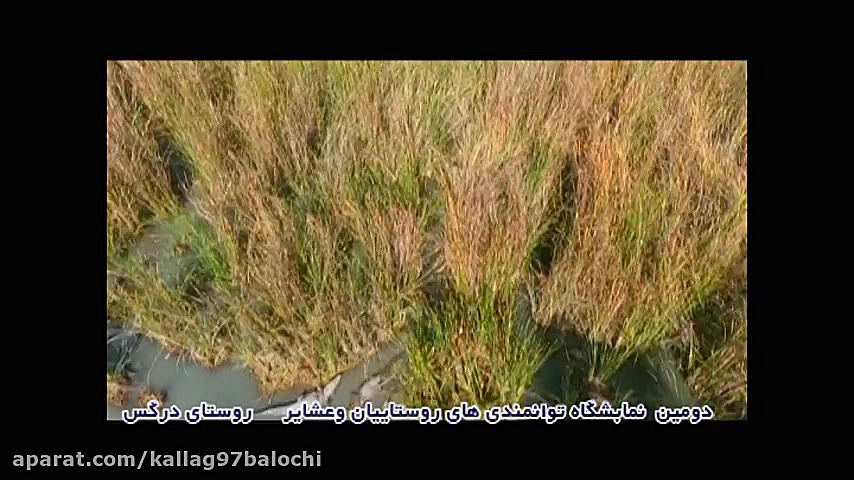 بلوچی دوزی و طبیعت بلوچستان