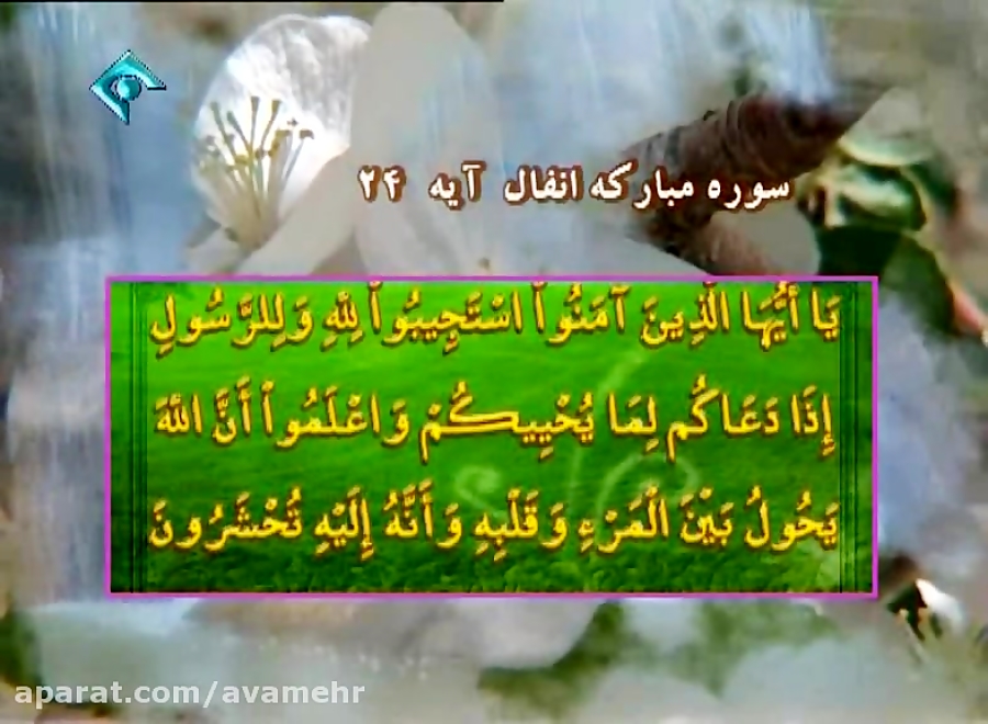 تفسیر قرآن-سوره انفال ایه 24-استاد قرائتی