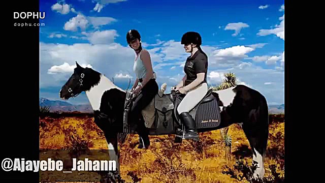 طولانی ترین اسب جهان