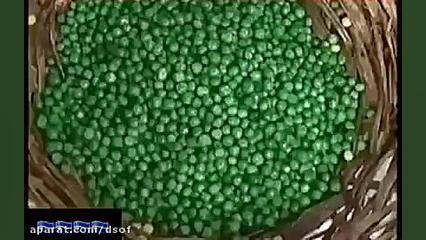 رنگ کردن میوه به جای گنجشک!