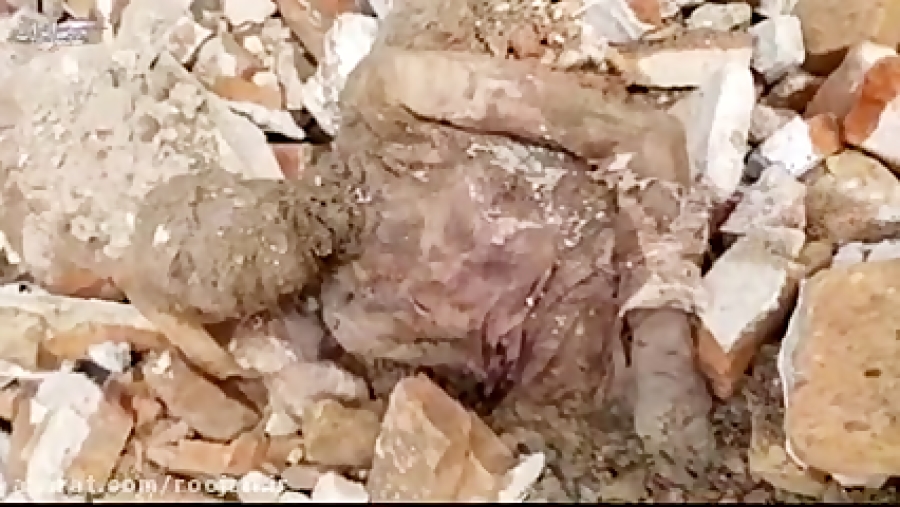 پشت پرده جسد مومیایی رضاشاه در...