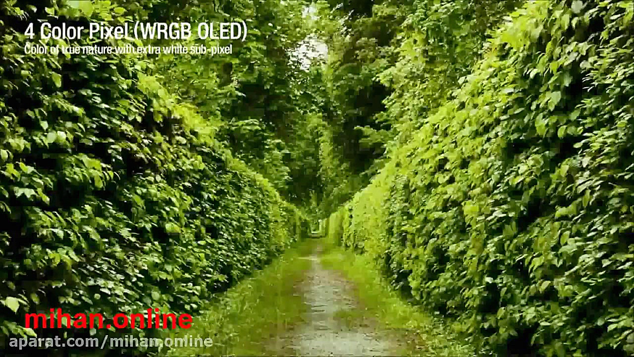 تلویزیون های oled ال جی