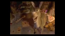 خر دویی شرک