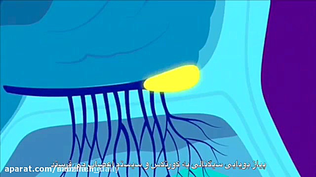 آروماتراپی (رایحه درمانی)