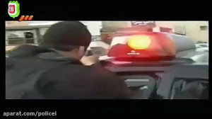 The Special Police Force of Ir...