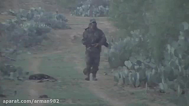 شکار گراز با تفنگ pcp سوماترا