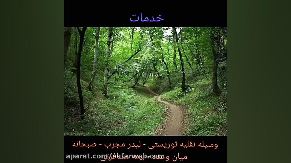 تور ماجراجویانه جنگل الیمستان...