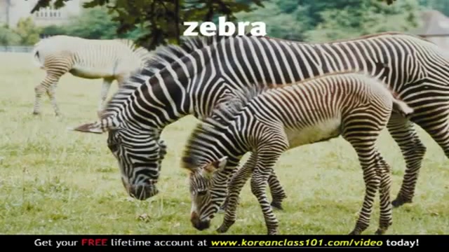 آموزش زبان کره ای (یادگیری لغا...