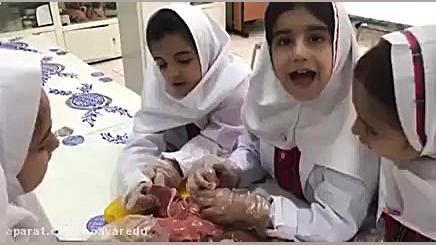 آشنایی با اندامهای جانوران در...