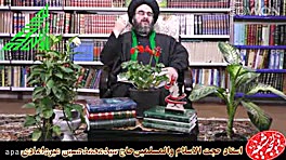 رهایی از نفس اماره و شیطان
