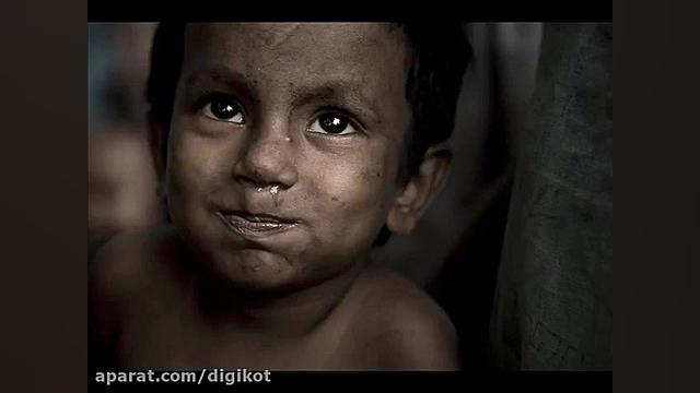 لالا گنجشک لالا سنجاب لالا