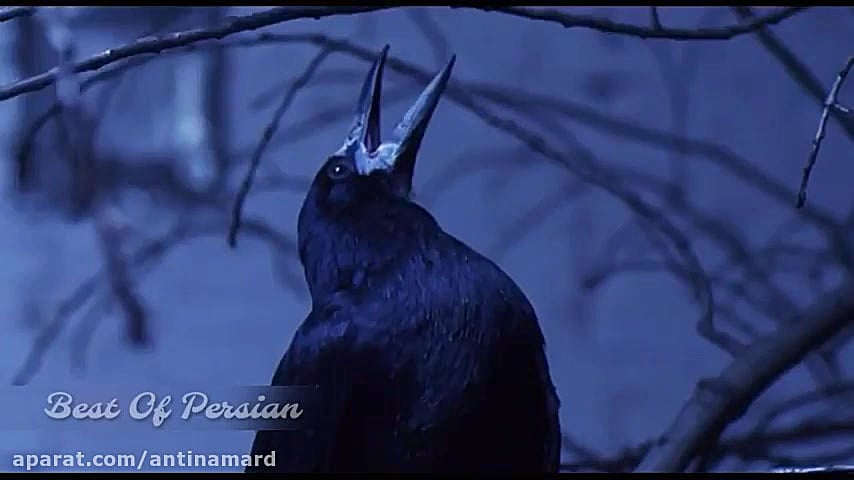 سریال ایرانی جدید احضار  اولین...