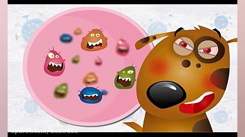 آموزش تصویری علوم ششم دبستان ل...