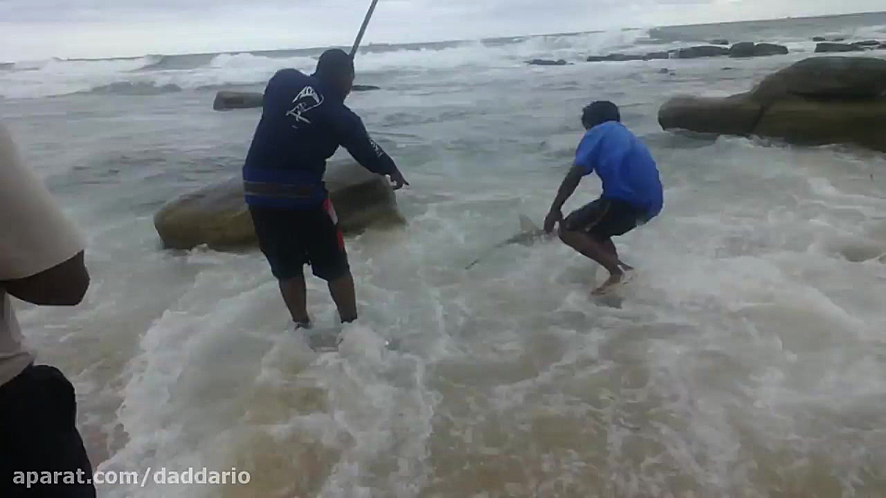 ماهیگیری که به جای ماهی، کوسه...