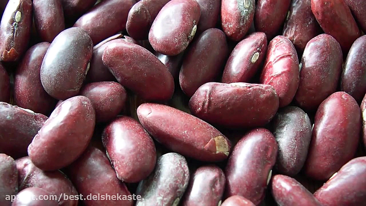 مواد غذایی که هیچگاه خراب نمیش...