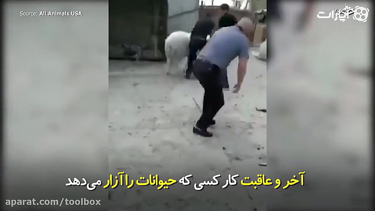 پاداش کار کسی که حیوانات را از...