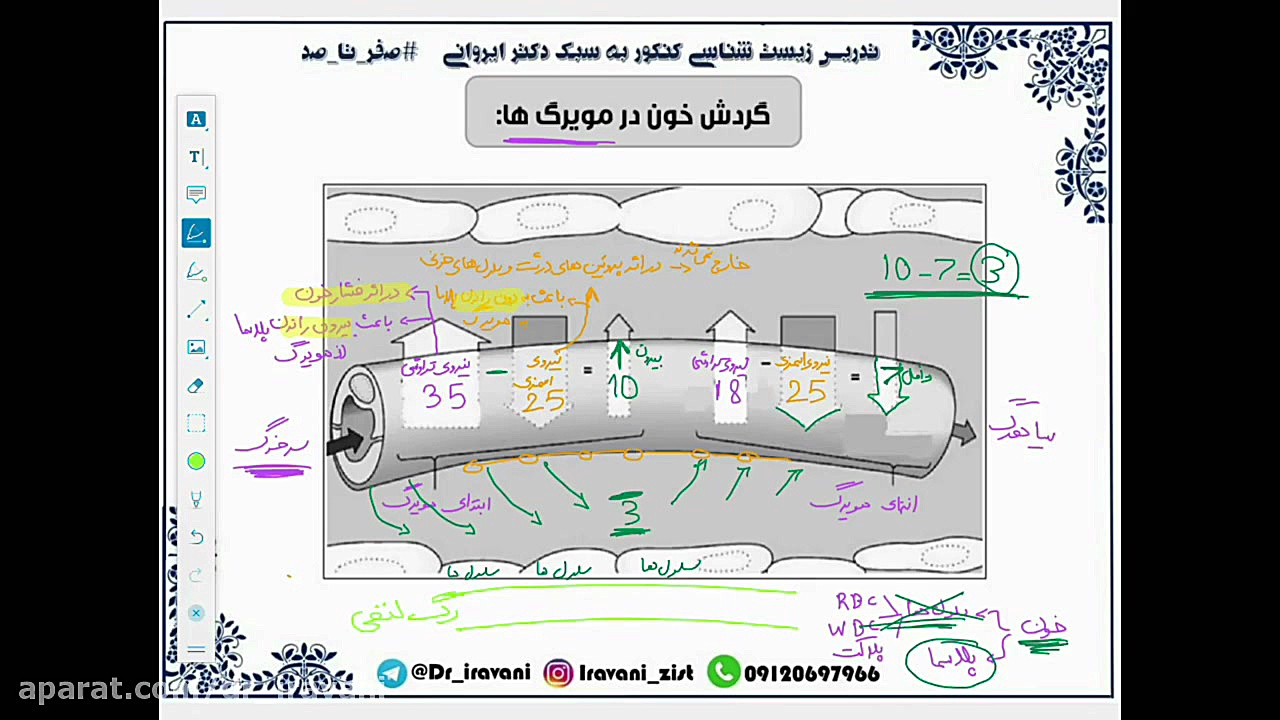 گردش خون در مویرگ ها