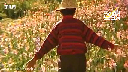 زادروز مجید مجیدی