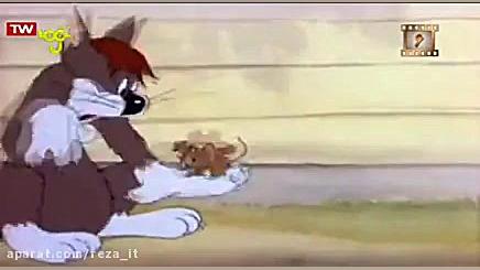 کارتون تام و جری قسمت 105