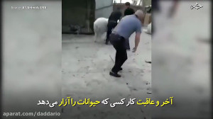 پاداش کار کسی که حیوانات را آز...