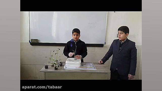 زنگ آزمایشگاه( مشاهده تارهای ک...