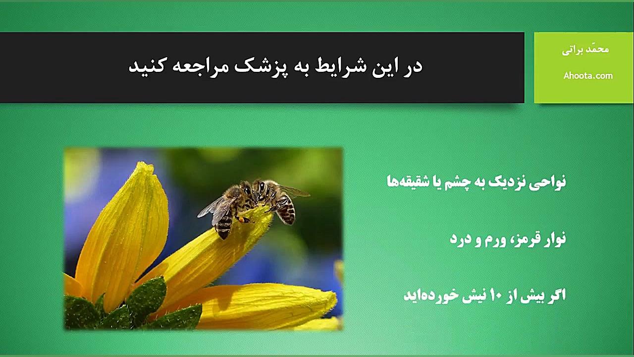درمان خانگی نیش زنبور عسل در م...