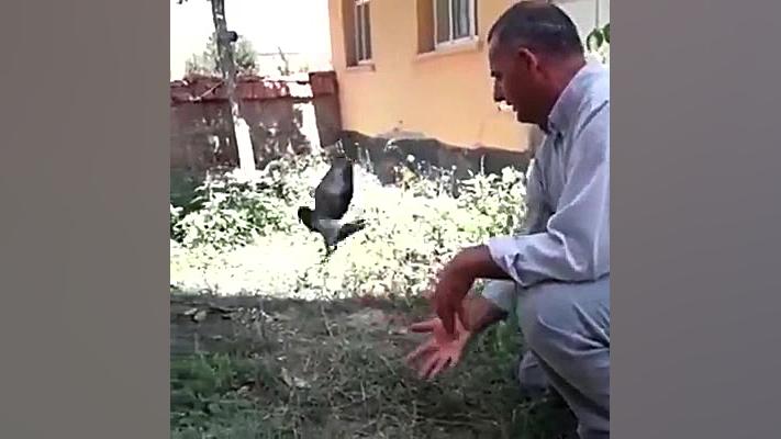 آموزش پرواز ، از این آدما خیلی...