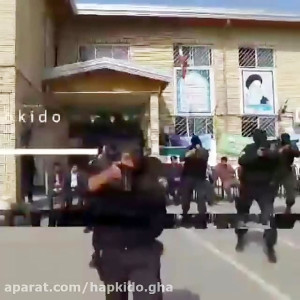 مانور مشترک هاپکیدو GHA و نوپو