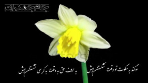 سرود آغاز امامت امام زمان عج