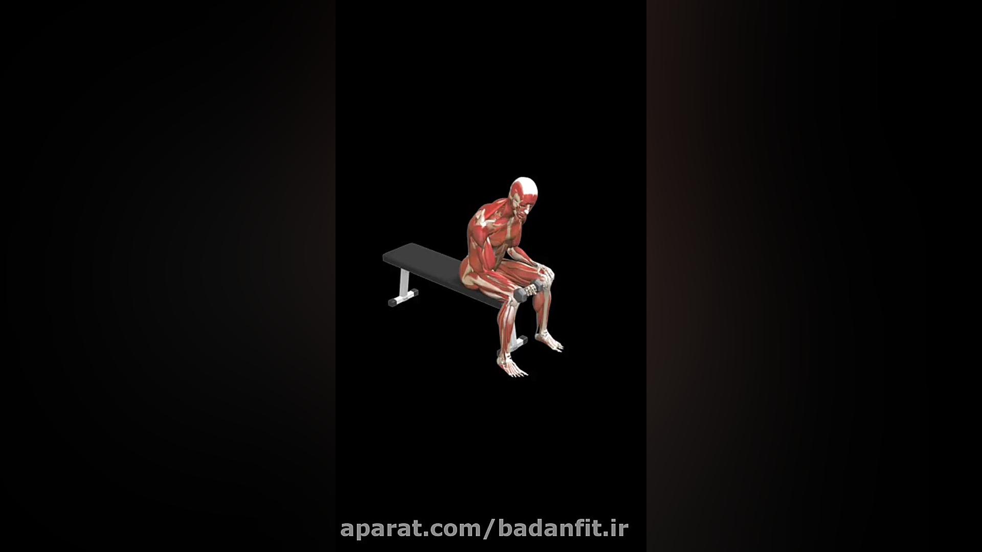 نحوه اجرای صحیح ساعد تک دمبل ن...