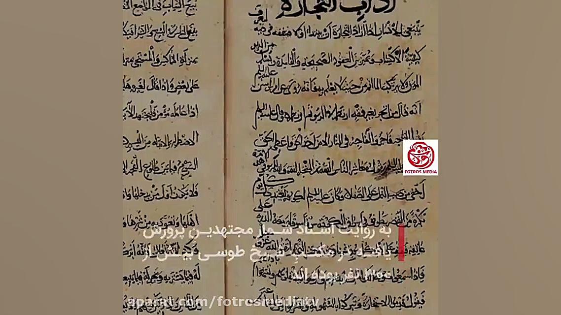 شیخ الطائفه : شیخ طوسی