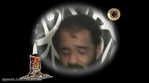 بوی شراب نابت دیوانه کرده ساقی...