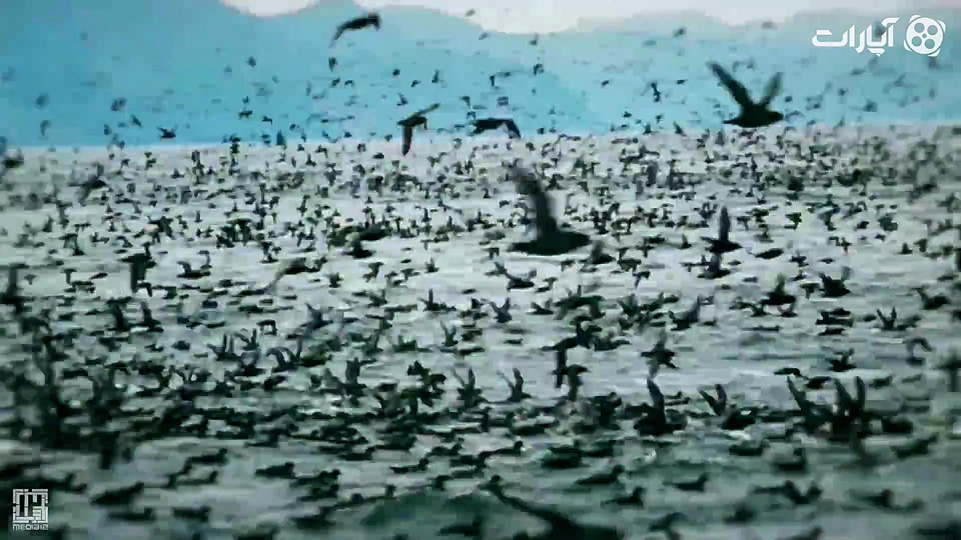 و من مگر چیستم!  علی فانی