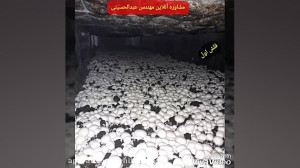 آموزش پرورش قارچ در سمنان مشاو...