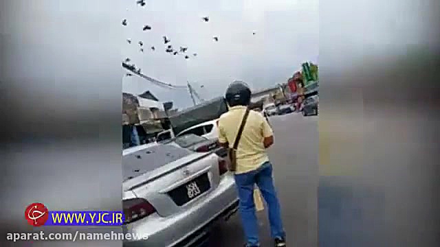 روش عجیب مرد چینی برای شکار پر...