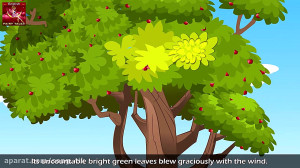 The Giving Tree in English | E...