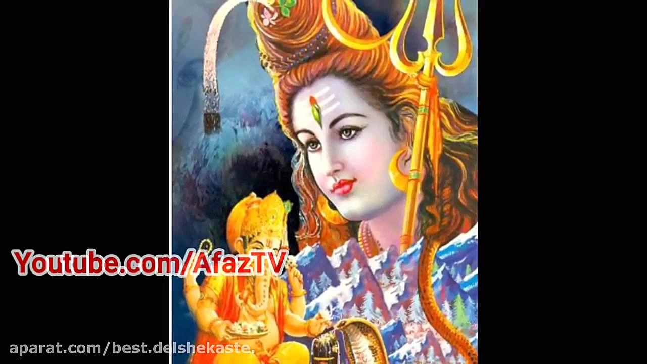 هرتیک روشن عاشق گربه ایرانی ؟