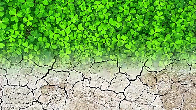 روز جهاد کشاورزی وروز جهانی بی...