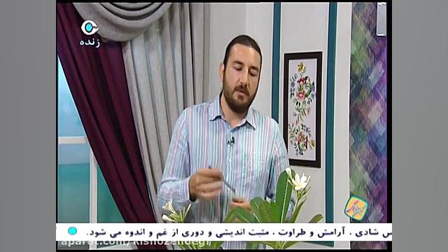 كیش و زندگی  نگهداری گیاهان آپ...