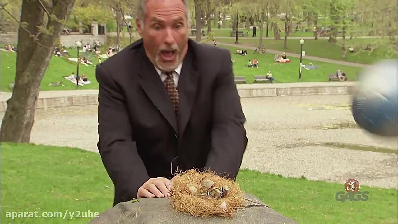 Flopping Fish on Dish | Throwb...