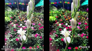 Oppo Find X vs iPhone X Camera...