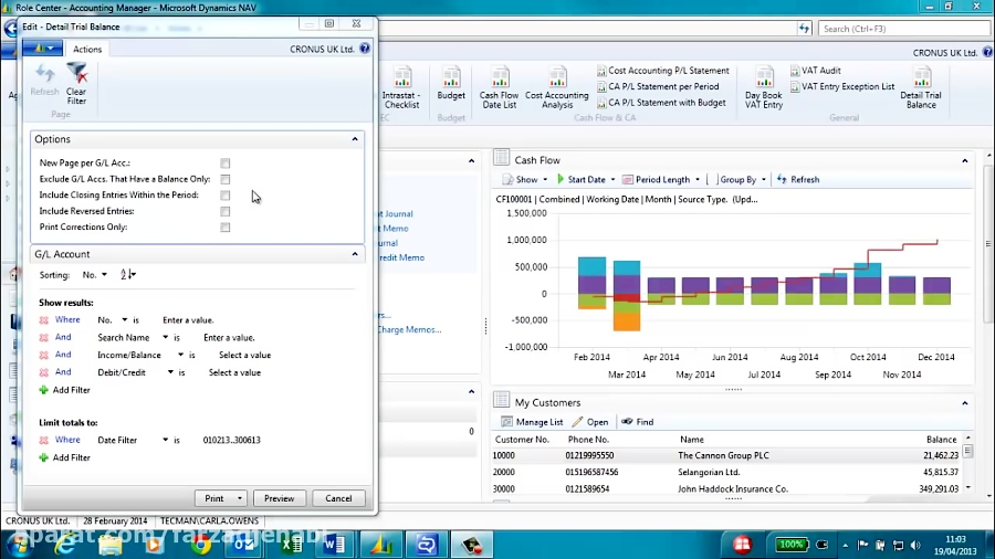 Basic Financial Reports in Microsoft Dynamics NAV 2013