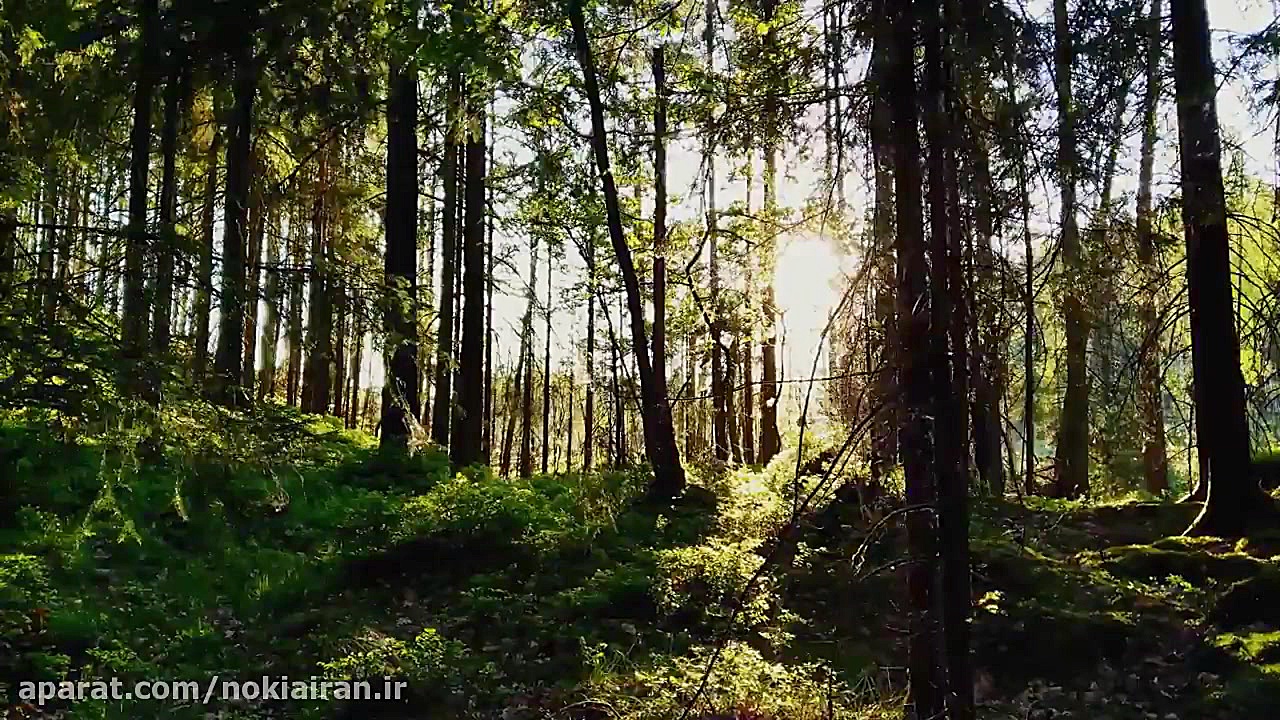 نوکیا ۷ پلاس : سینما استایل 4K