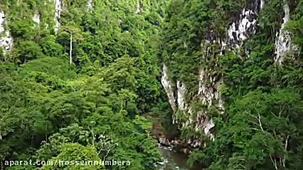 طبیعت کلمبیا آمریکای جنوبی وید...