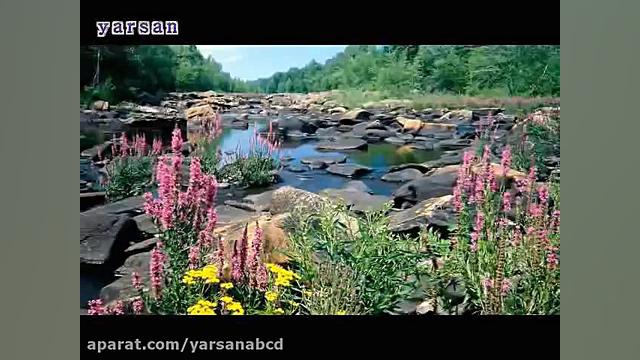 (YARSAN) آهنگ تنها با گلها