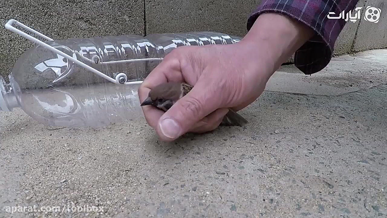 تله پرنده با بطری آب