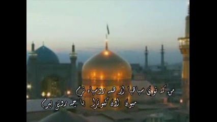 کلاغ رو سیاه